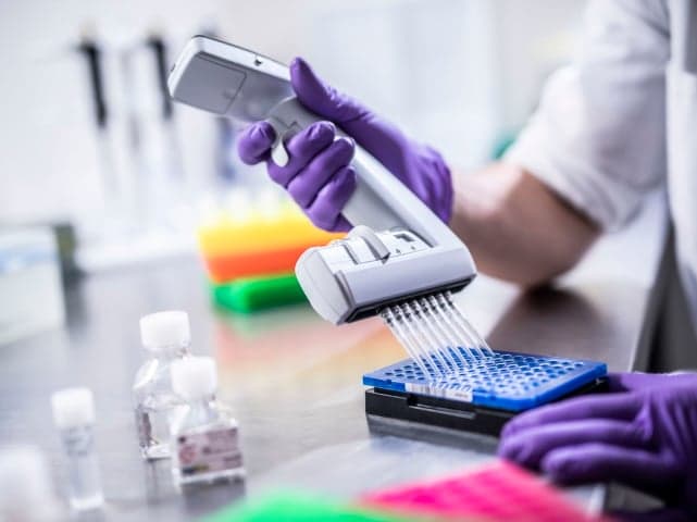 clubroot testing